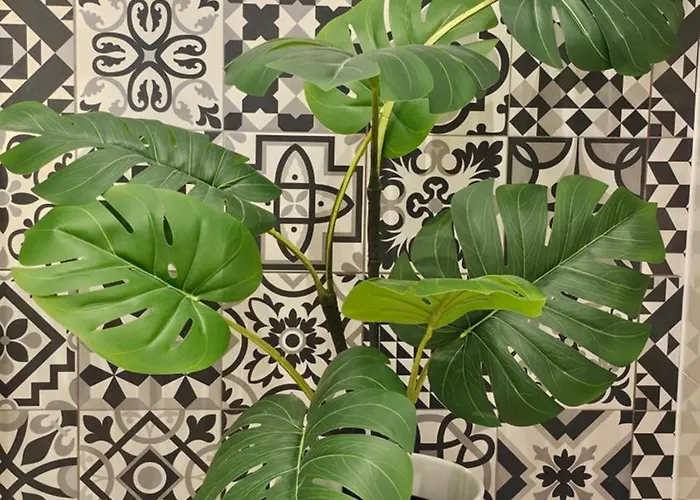 Blekitna Kotwica * שצ'צ'ין